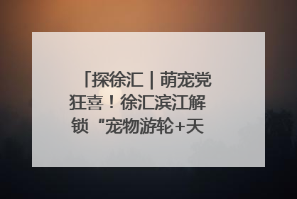 探徐汇｜萌宠党狂喜！徐汇滨江解锁“宠物游轮+天台乐园”双玩法